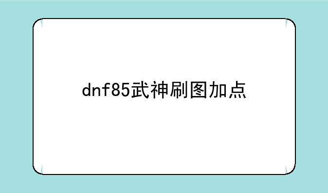 dnf85武神刷图加点