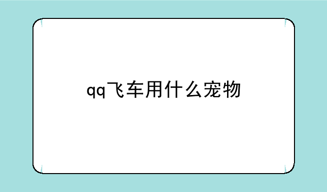 qq飞车用什么宠物