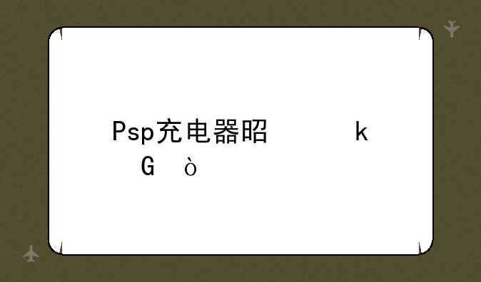 Psp充电器是多少伏