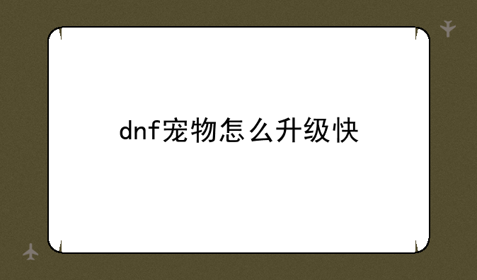 dnf宠物怎么升级快