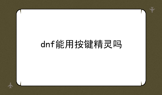 dnf能用按键精灵吗