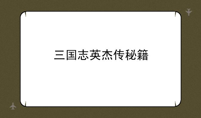 三国志英杰传秘籍