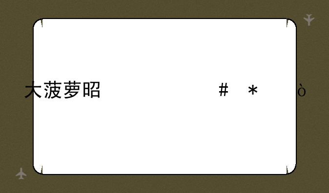 大菠萝是什么动漫