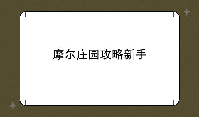 摩尔庄园攻略新手