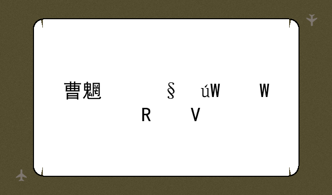 曹魏轩辕录全攻略
