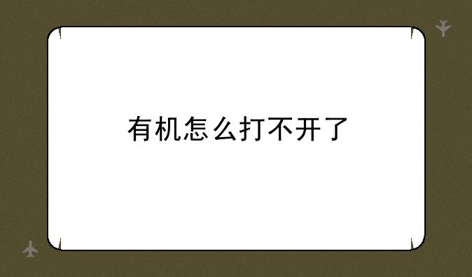 有机怎么打不开了