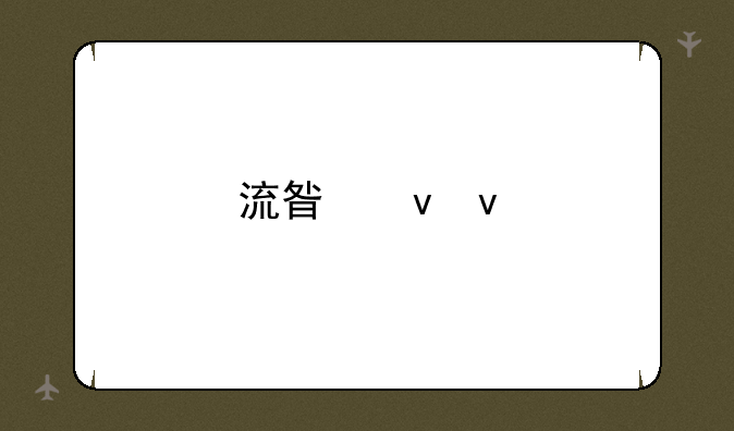 流星蝴蝶剑加电脑