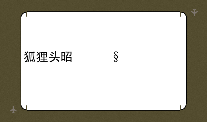 狐狸头是天空几套
