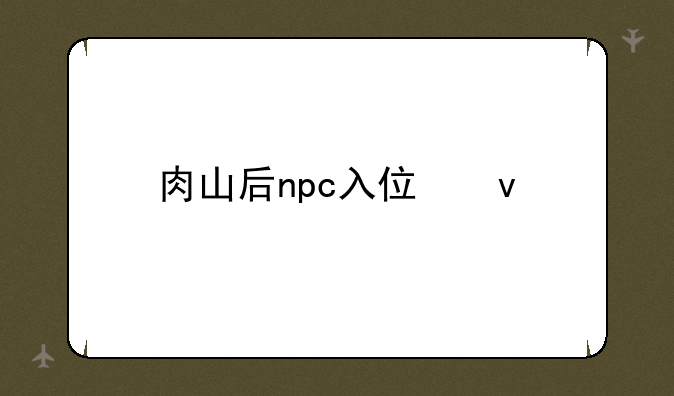 肉山后npc入住条件