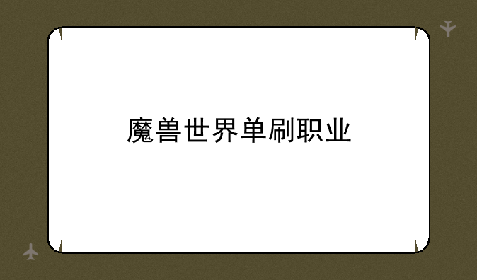 魔兽世界单刷职业