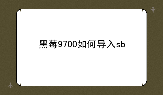 黑莓9700如何导入sb