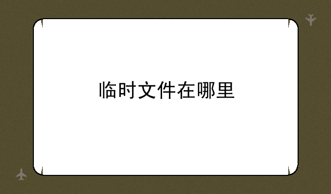 临时文件在哪里