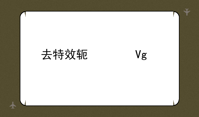 去特效软件教程