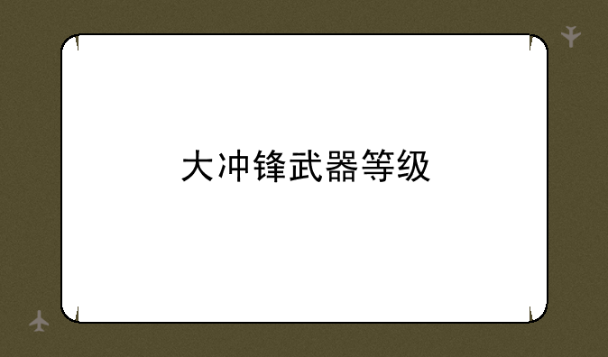 大冲锋武器等级