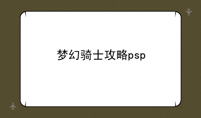 梦幻骑士攻略psp