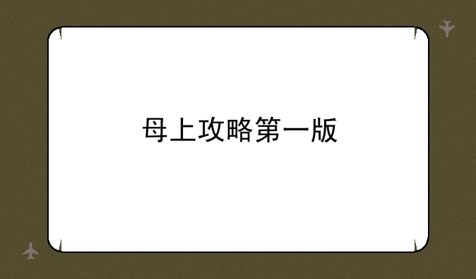 母上攻略第一版