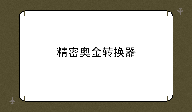 精密奥金转换器