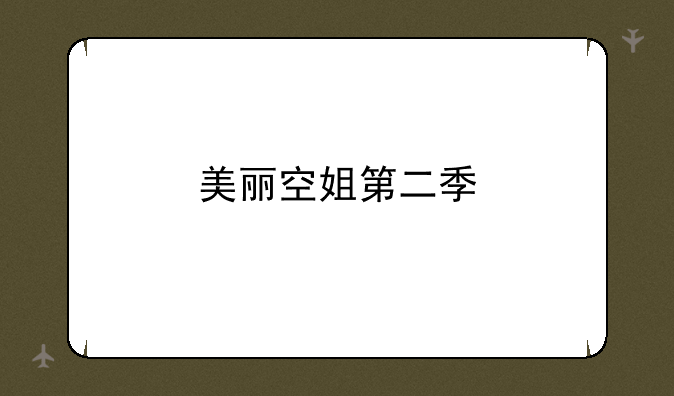 美丽空姐第二季