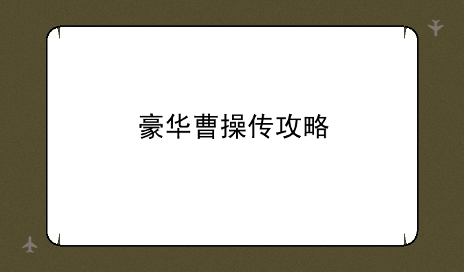 豪华曹操传攻略