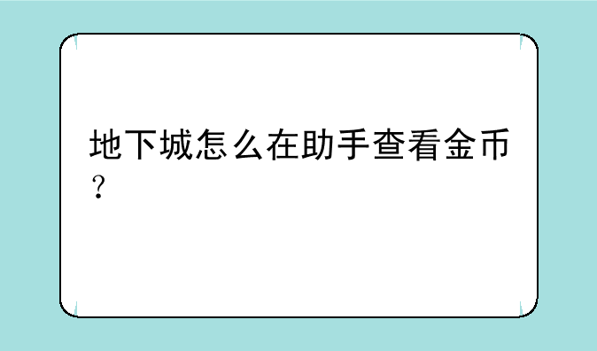 地下城怎么在助手查看金币？