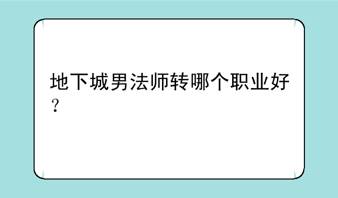 地下城男法师转哪个职业好？
