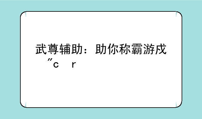 武尊辅助：助你称霸游戏战场