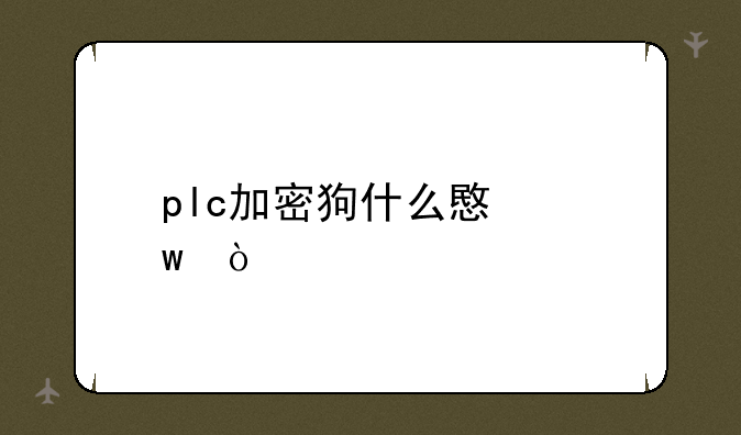 plc加密狗什么意思？
