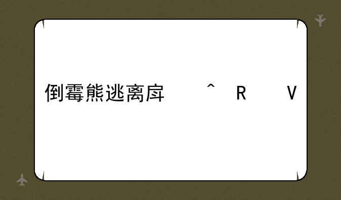 倒霉熊逃离房间攻略