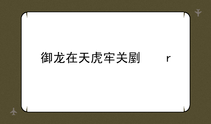 御龙在天虎牢关副本