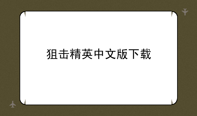 狙击精英中文版下载