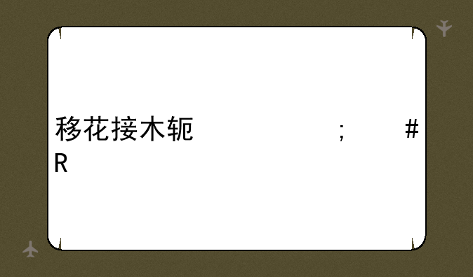 移花接木软件怎么用