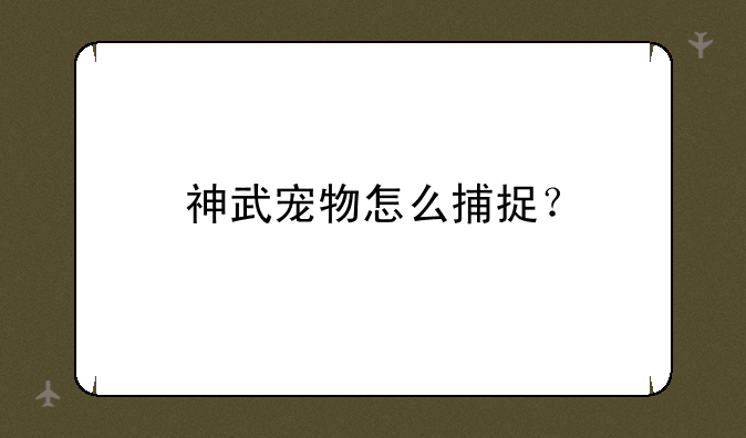神武宠物怎么捕捉？