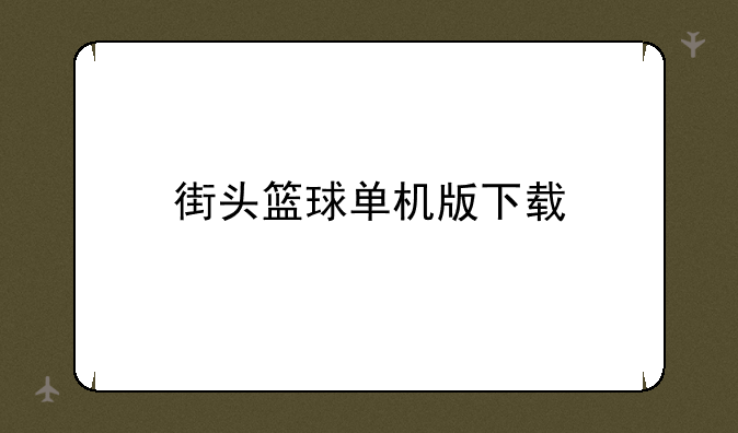 街头篮球单机版下载