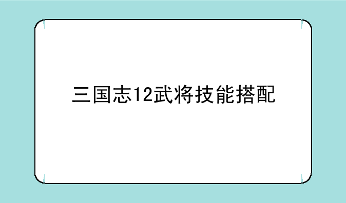 三国志12武将技能搭配