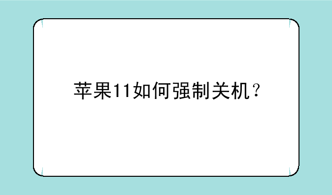 苹果11如何强制关机？