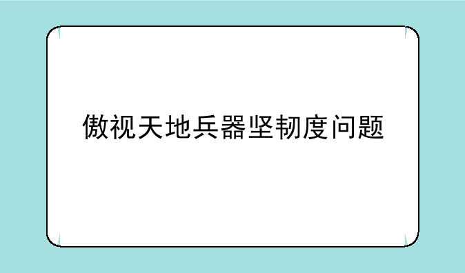 傲视天地兵器坚韧度问题