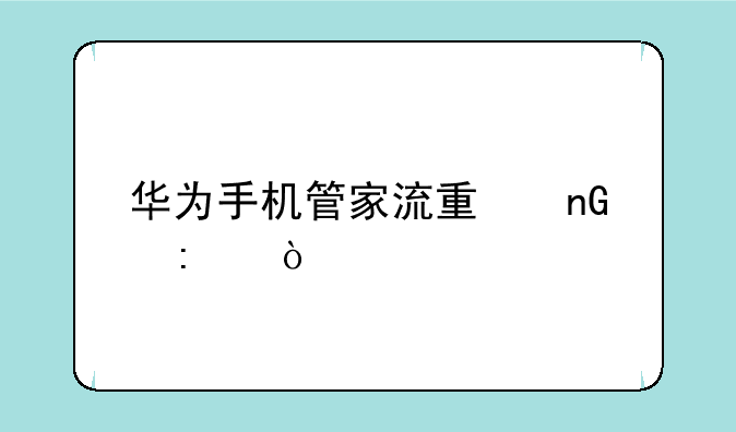 华为手机管家流量监控？