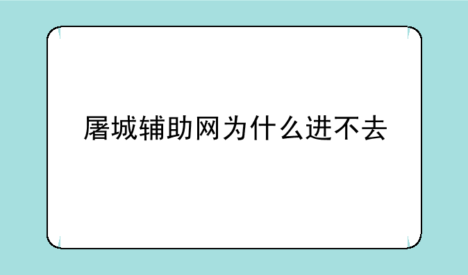 屠城辅助网为什么进不去