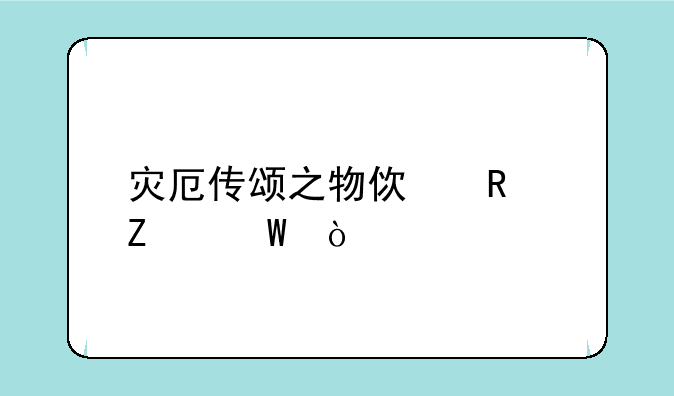 灾厄传颂之物使用方法？