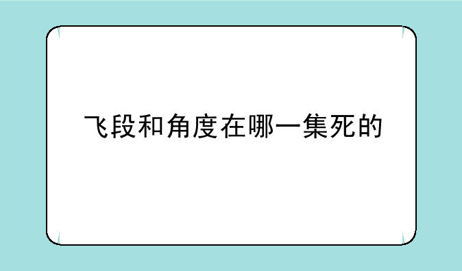 飞段和角度在哪一集死的