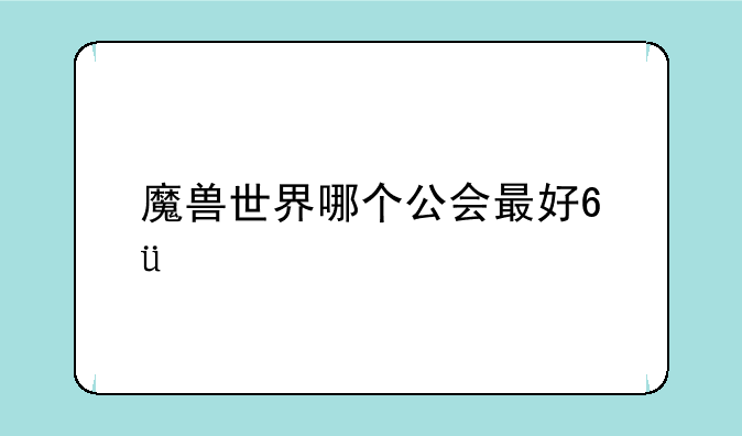 魔兽世界哪个公会最好???