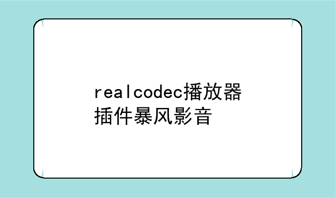realcodec播放器插件暴风影音