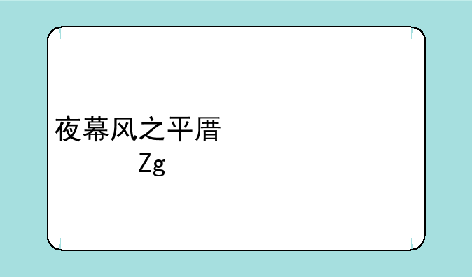 夜幕风之平原详细资料大全
