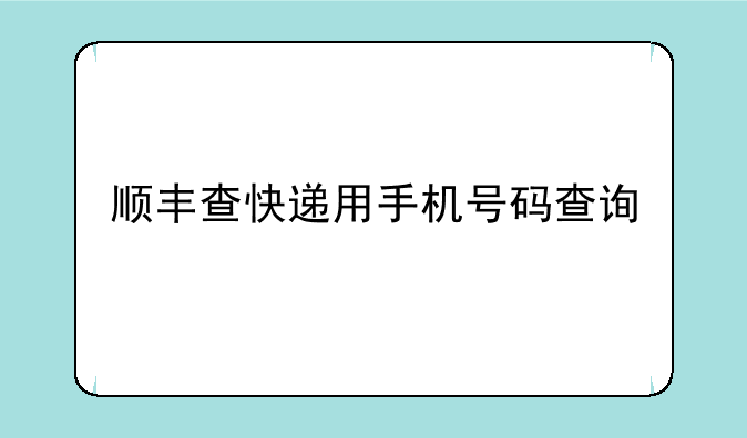 顺丰查快递用手机号码查询