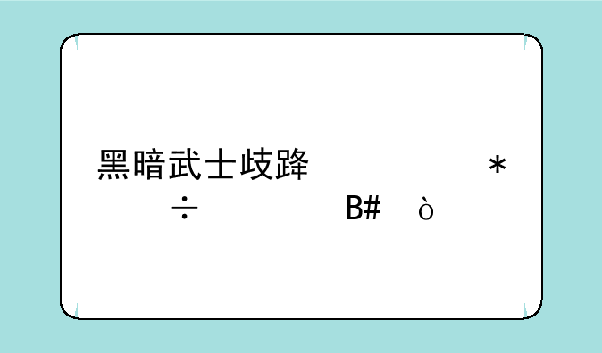 黑暗武士歧路流技能组合？