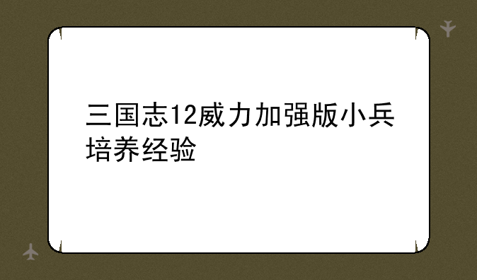 三国志12威力加强版小兵培养经验
