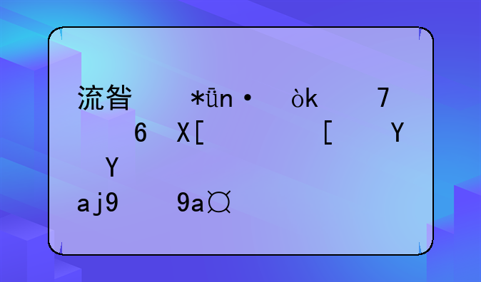 流星花园：重温经典，开启全新冒险