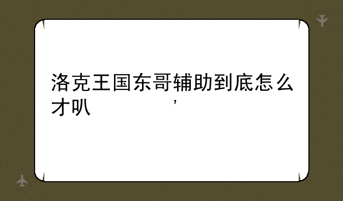 洛克王国东哥辅助到底怎么才可以安装