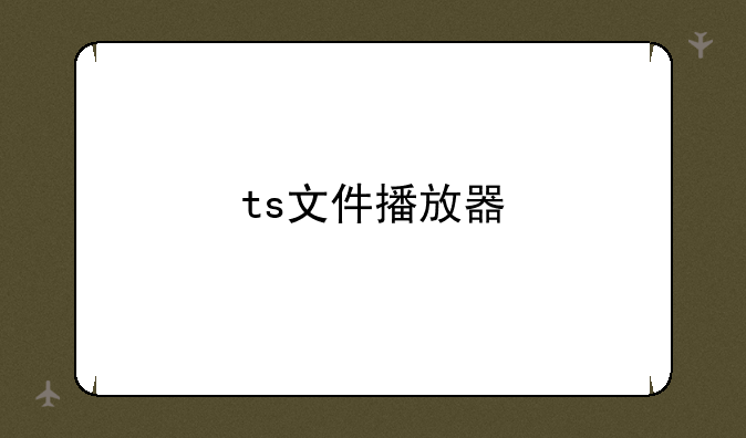 ts文件播放器