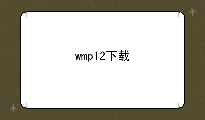 wmp12下载